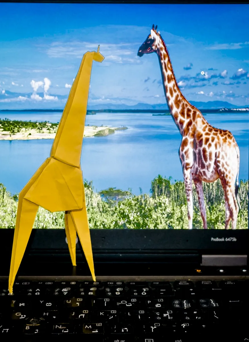 Yellow giraffe figure beside a real giraffe on a laptop screen